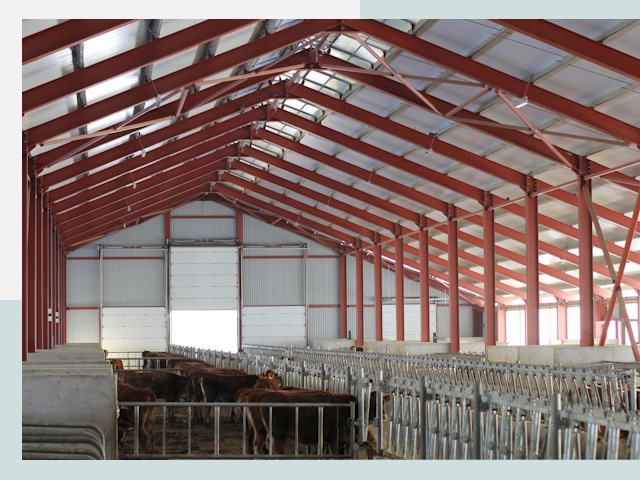 Строительство коровников в Гусь-Хрустальном